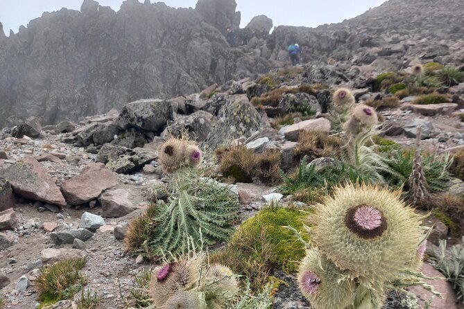 Hiking Tour to the Top of La Malinche - Logistics and Practicalities