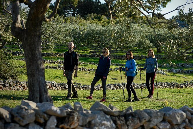 Hiking tour Vidova gora and visiting Museum of olive oil - Key Points