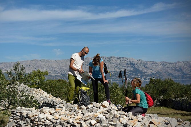 Hiking tour Vidova gora and visiting Museum of olive oil - Authenticity and Traveler Feedback