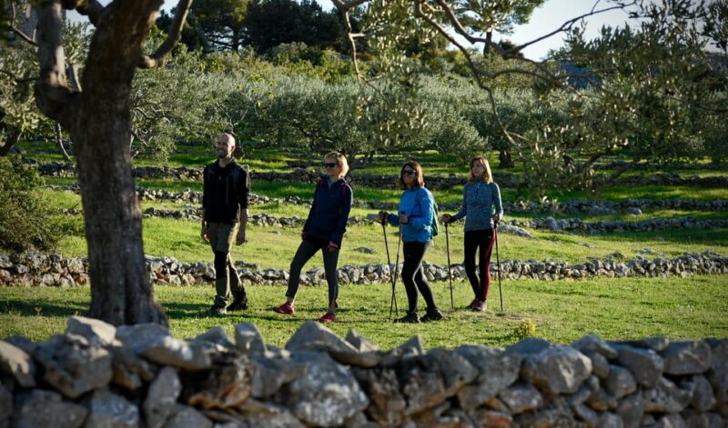 Hiking Tour Vidova Gora and Visiting Museum of Olive Oil - Safety and Requirements