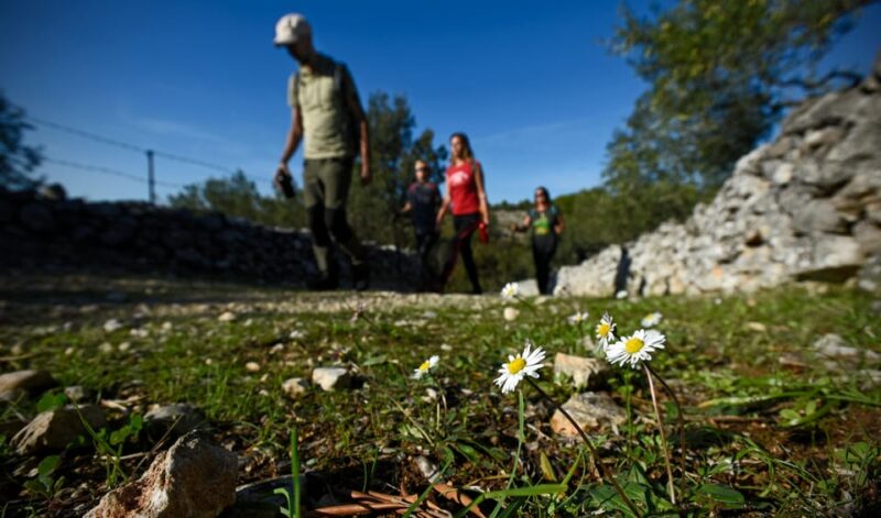 Hiking Tour Vidova Gora and Visiting Museum of Olive Oil - Customer Feedback