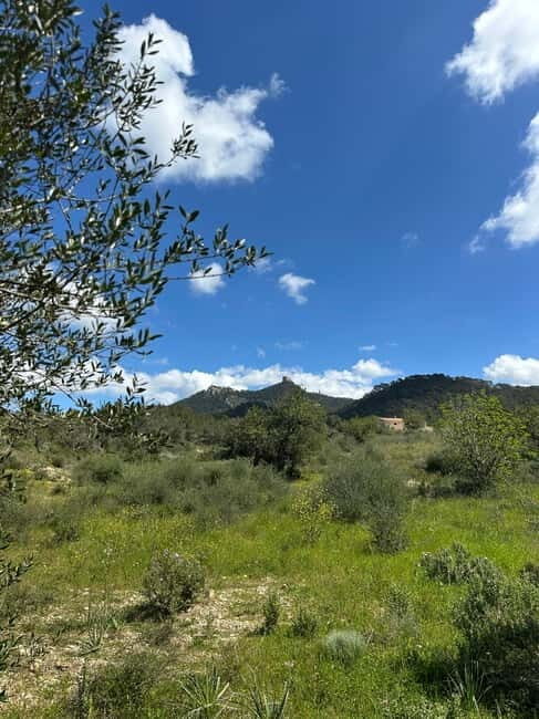 Hiking tour with a dream view of the former monastery of Sant Salvador, 3-4 hours. - Discover Mallorca’s Hidden Gem: A Guided Hike to Sant Salvador’s Monastery and Scenic Views