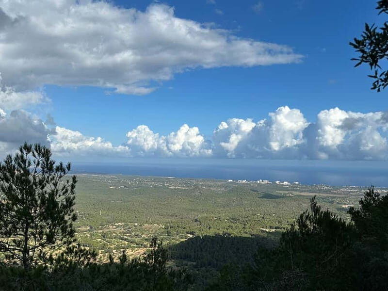 Hiking tour with a dream view of the former monastery of Sant Salvador, 3-4 hours. - The Value Proposition: Is It Worth It?
