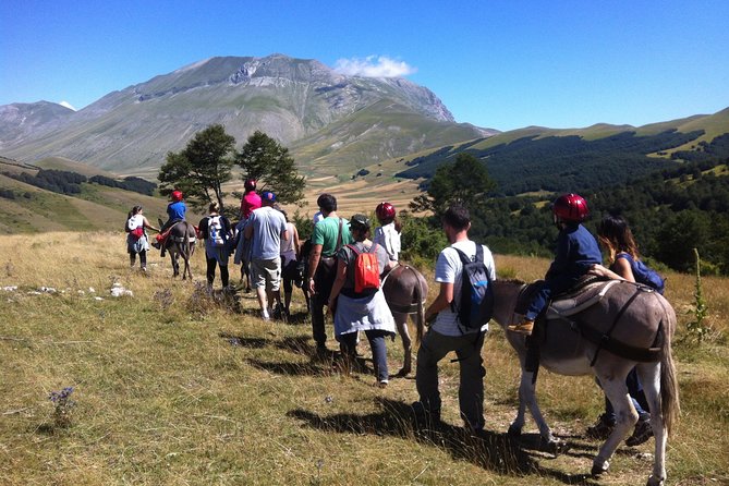 Hiking With Donkeys - Ensuring Safety and Comfort