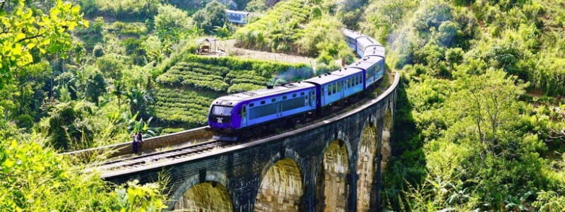 Hikkaduwa/Galle/Weligama/Mirissa: Day Trip to Ella Highlands - Transportation and Logistics: Making It Smooth