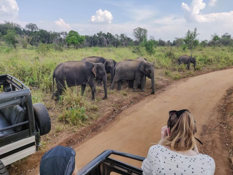 Hikkaduwa: Udawalawe National Park Safari With Hotel Pickup - Preparation and Tips