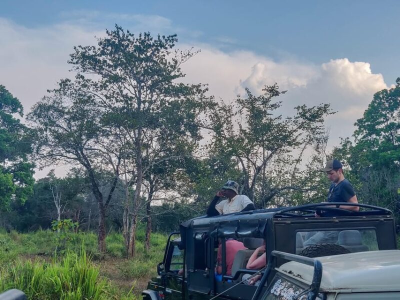 Hikkaduwa: Udawalawe National Park Safari With Hotel Pickup - Booking Information