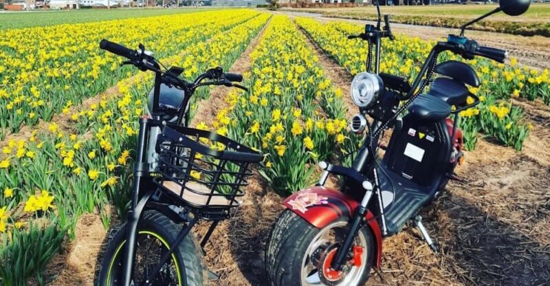 Hillegom: E-Scooter or E-Bike Rental in the Bulb Region - The Experience: What to Expect on Your Day in the Flower Fields
