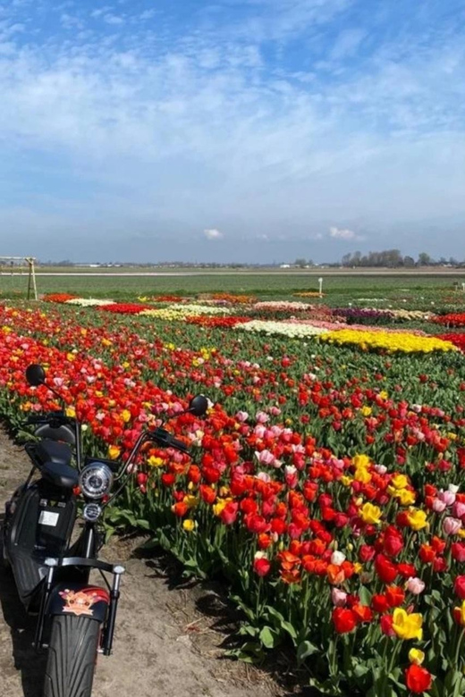 Hillegom: E-Scooter or E-Bike Rental in the Bulb Region - Who Should Consider This Experience?