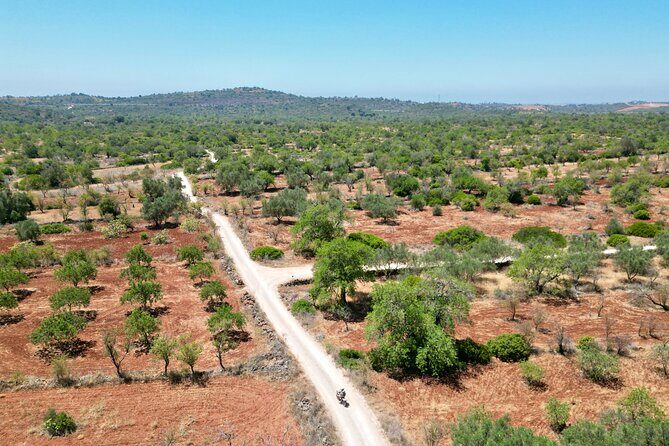 Hills & Thrills: 4 Hr Fonte da Benémola Electric Motorbike Tour - An Overview of the Tour Experience