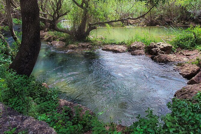 Hills & Thrills: 4 Hr Fonte da Benémola Electric Motorbike Tour - The Value of the Tour