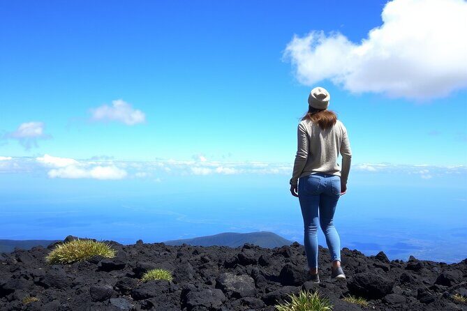 Hilo and Volcano National Park Tour for Cruise Passengers at port - The Heart of the Tour: Hawaii Volcanoes National Park