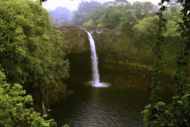 Hilo and Volcano National Park Tour for Cruise Passengers at port - Who Is This Tour Best For?