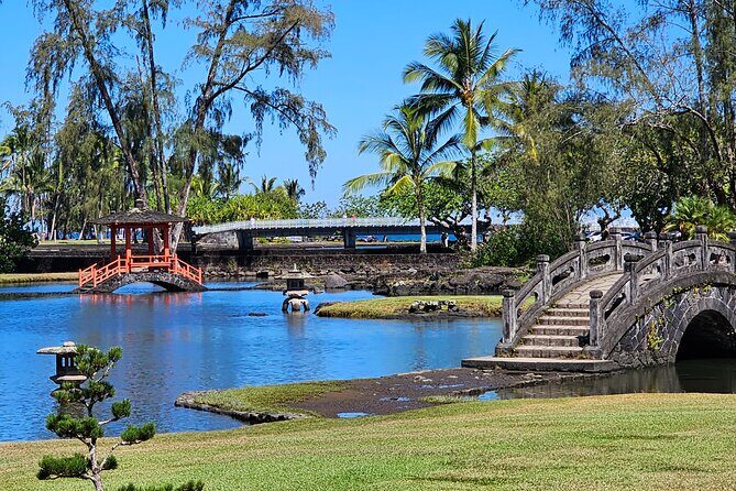 Hilo and Volcano National Park Tour for Cruise Passengers at port - The Sum Up