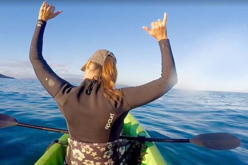 Hilo Bay & Coconut Kayak Adventure - Key Points