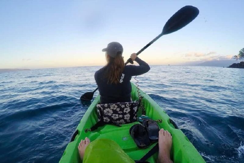 Hilo Bay & Coconut Kayak Adventure - The Sum Up: Who Is This Tour Best For?