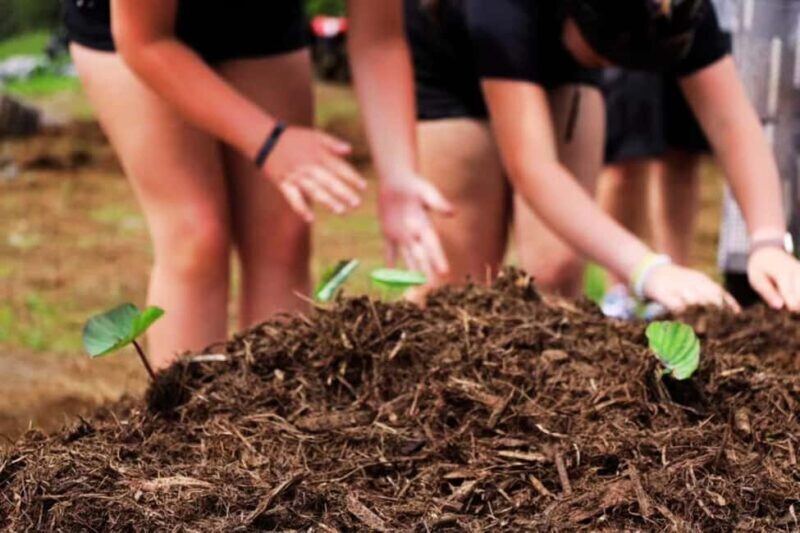 Hilo: Big Island Family Farm & Culture UTV Experience - Exploring the Experience in Detail