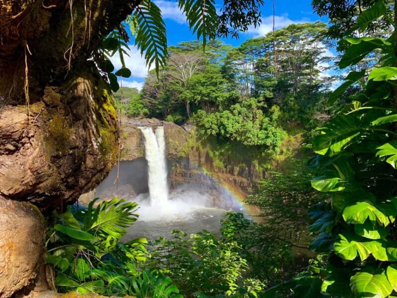 Hilo: Hawaii Volcanoes National Park and Hilo Highlights - An In-Depth Look at the Tour Experience