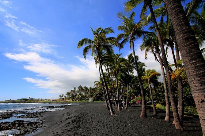 Hilo Highlights Private Sightseeing Tour - Hilo Farmers Market: Local Flavors and Art