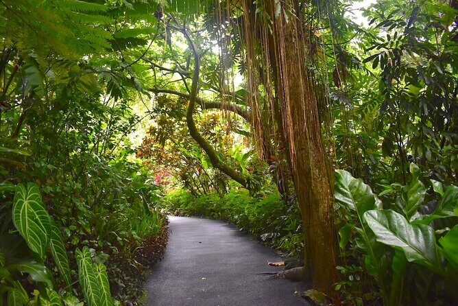 Hilo Highlights Private Sightseeing Tour - Big Island Candies: A Sweet Break