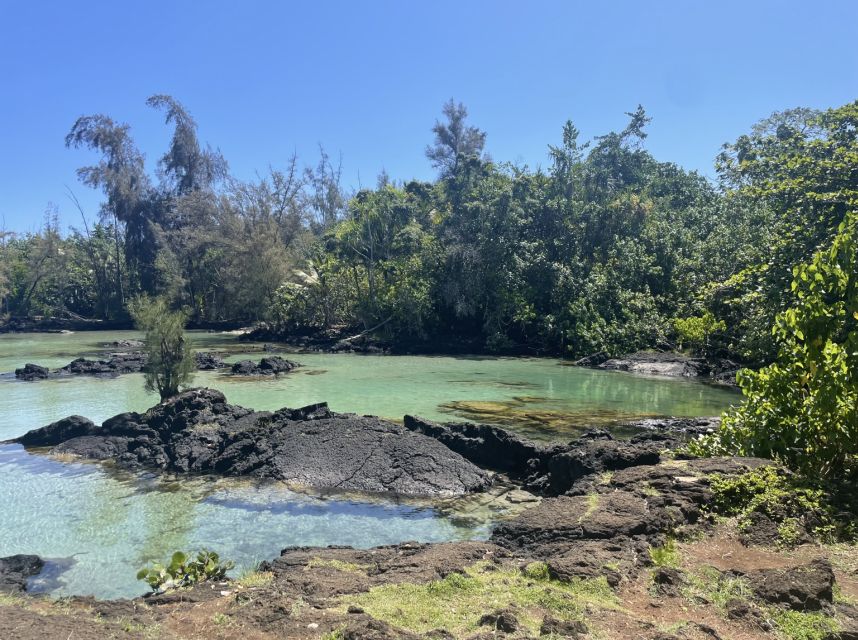 Hilo: Sea Turtle Lagoon and Black Sand Beach Snorkel - Booking and Cancellation
