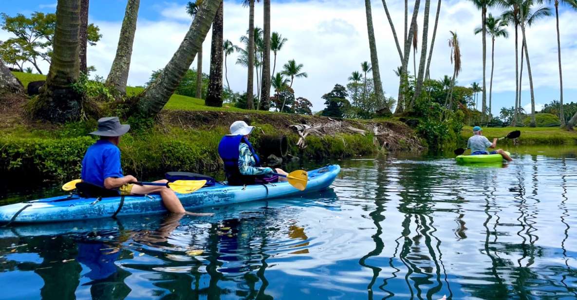 Hilo: Wailoa River to King Kamehameha Guided Kayaking Tour - Key Points