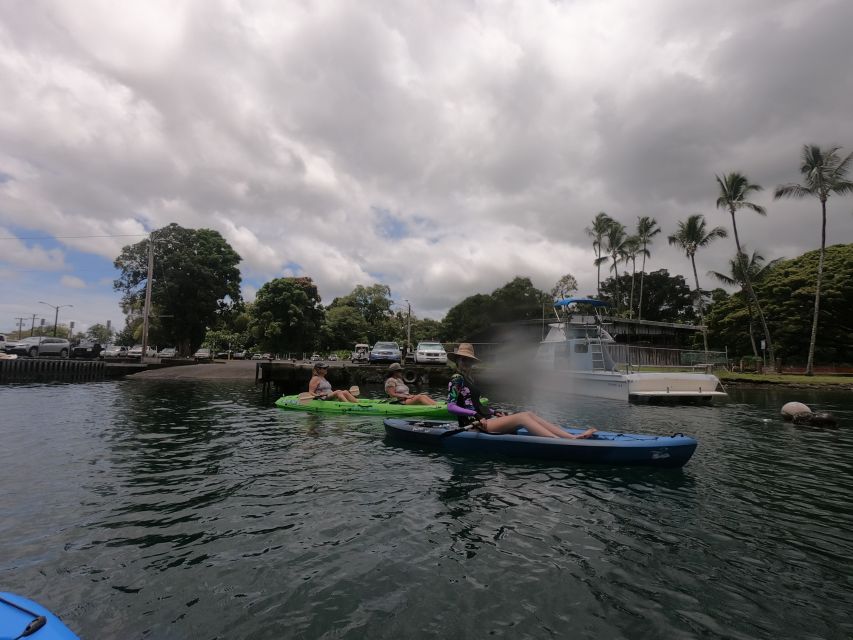 Hilo: Wailoa River to King Kamehameha Guided Kayaking Tour - Bridges and Waterways