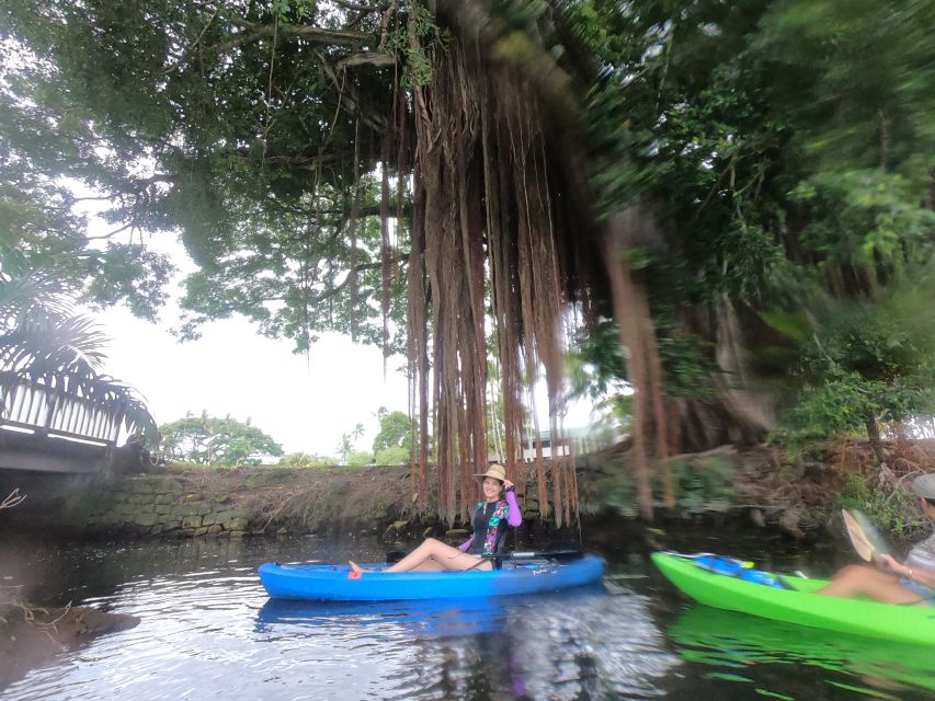 Hilo: Wailoa River to King Kamehameha Guided Kayaking Tour - Considerations and Limitations