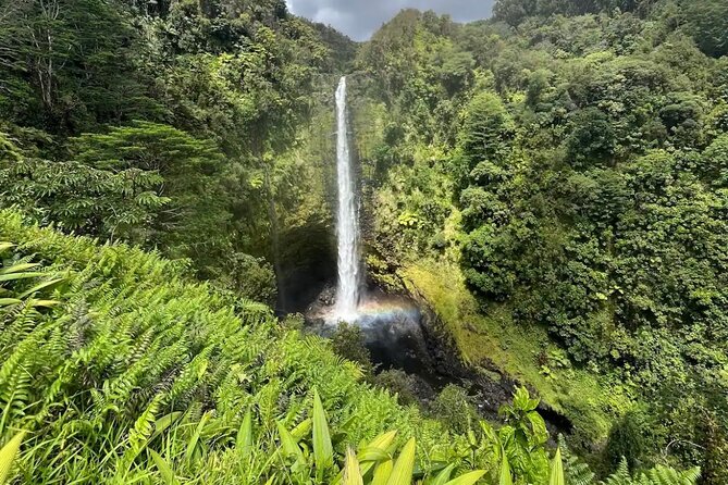 Hilo Waterfall Hike and Swim With Native Hawaiian - Participant Requirements