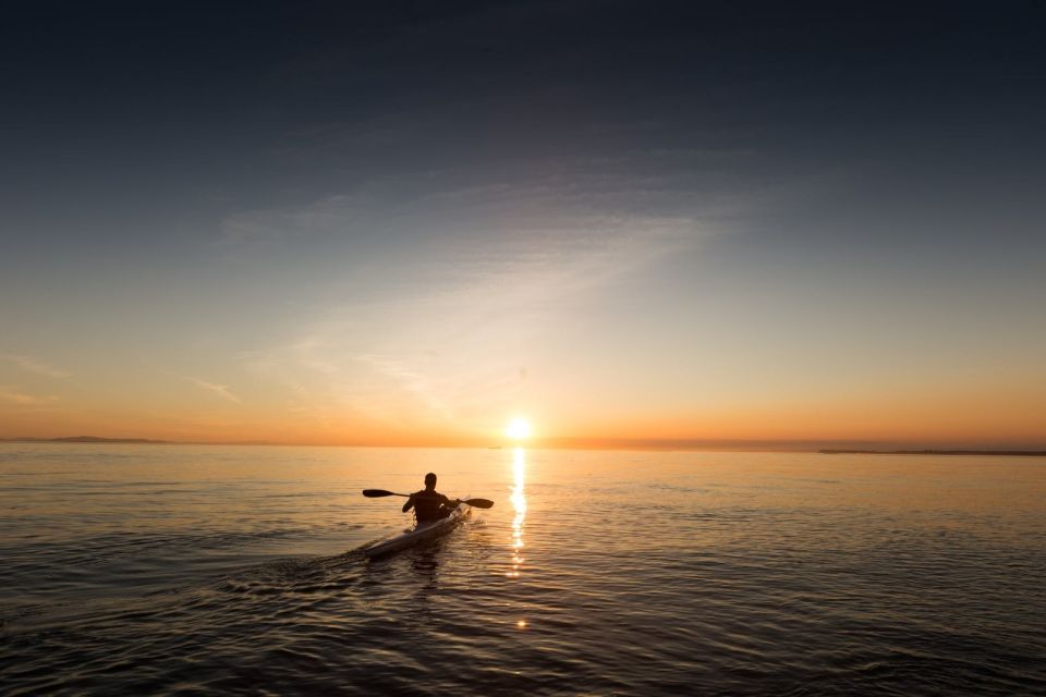 Hilton Head: Guided Kayak Tour - Inclusions