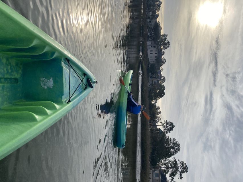Hilton Head Island: 1.5-Hour Guided Small-Group Kayak Tour - Tour Highlights