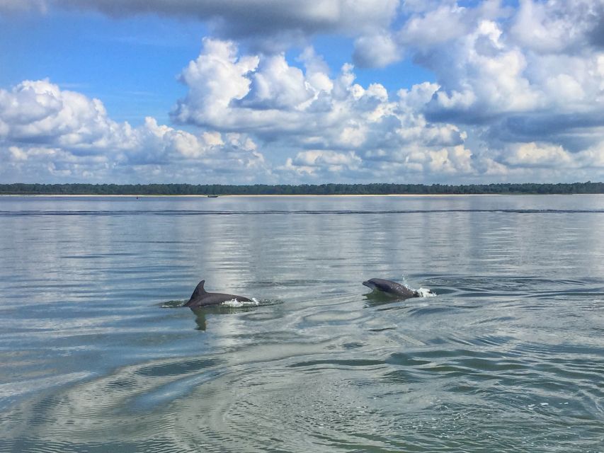 Hilton Head Island: 1.5-Hour Guided Small-Group Kayak Tour - Included in the Tour