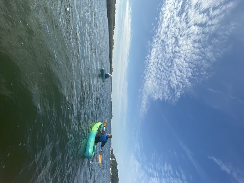 Hilton Head Island: 1.5-Hour Guided Small-Group Kayak Tour - Important Information