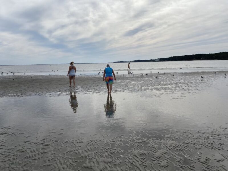 Hilton Head Island: Disappearing Island and Dolphin Tour - Authentic Encounters: What Travelers Are Saying
