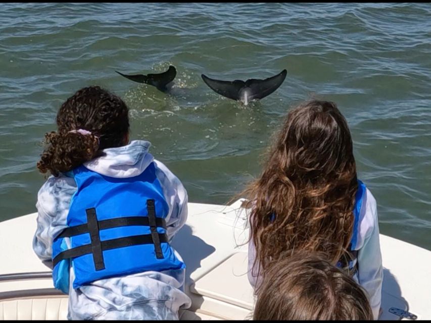 Hilton Head Island: Dolphin and Nature Tour - Frequently Asked Questions