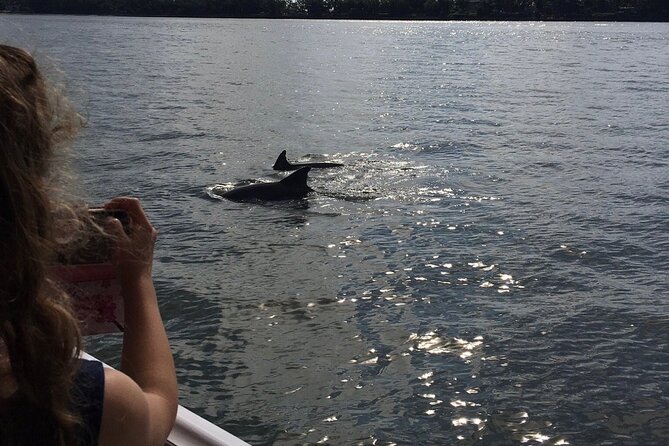 Hilton Head Island Dolphin Boat Cruise - Pricing and Booking Information