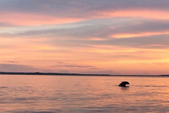 Hilton Head Island Dolphin Boat Cruise - Recap