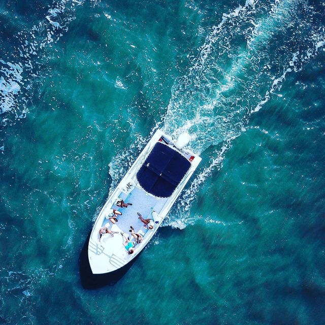 Hilton Head Island: Dolphin Cruise & Nature Tour - Observing Marine Species