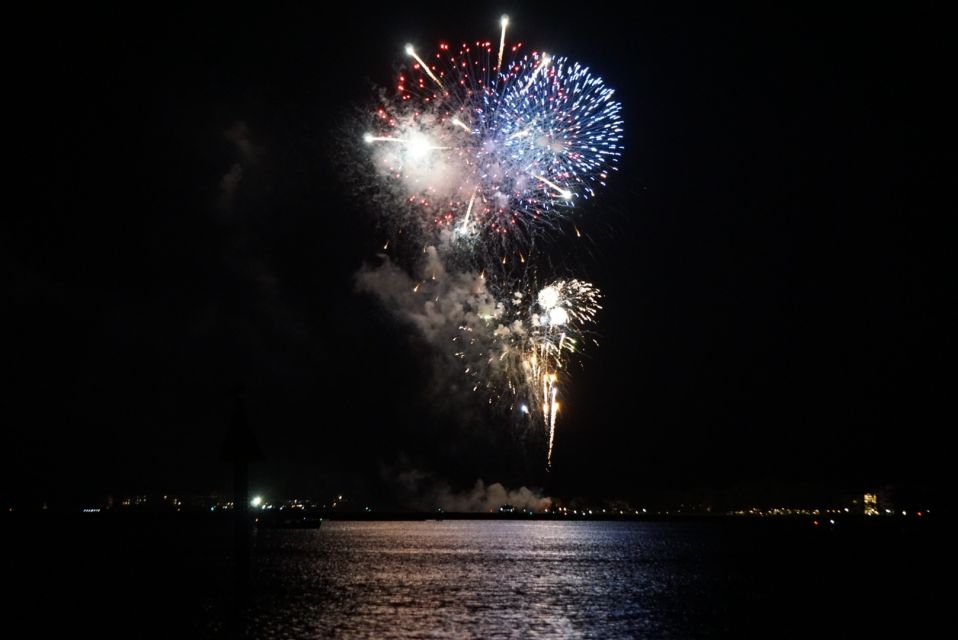 Hilton Head Island: Dolphin Tour at Sunset & Fireworks Show - Highlights