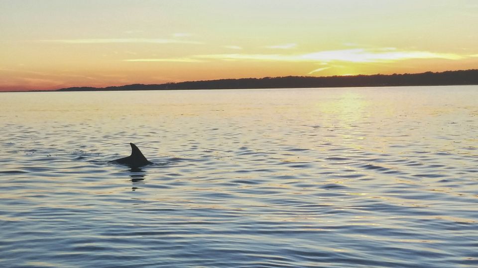 Hilton Head Island: Dolphin Watching 3-Course Dinner Cruise - Key Points
