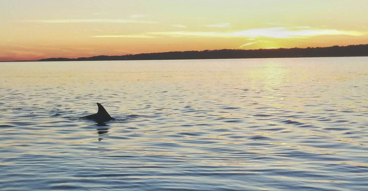 Hilton Head Island: Dolphin Watching 3-Course Dinner Cruise - Dining Options