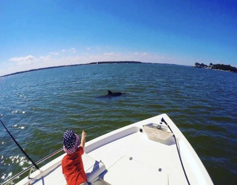 Hilton Head Island: Private Dolphin Watching Boat Tour - Highlights of the Experience