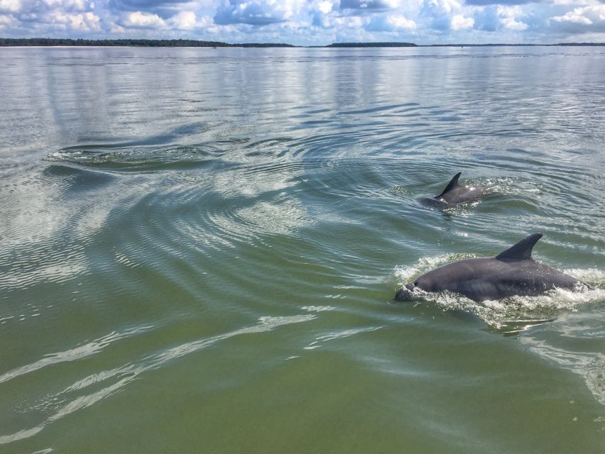 Hilton Head Island: Private Dolphin Watching Boat Tour - Reservation and Payment Details