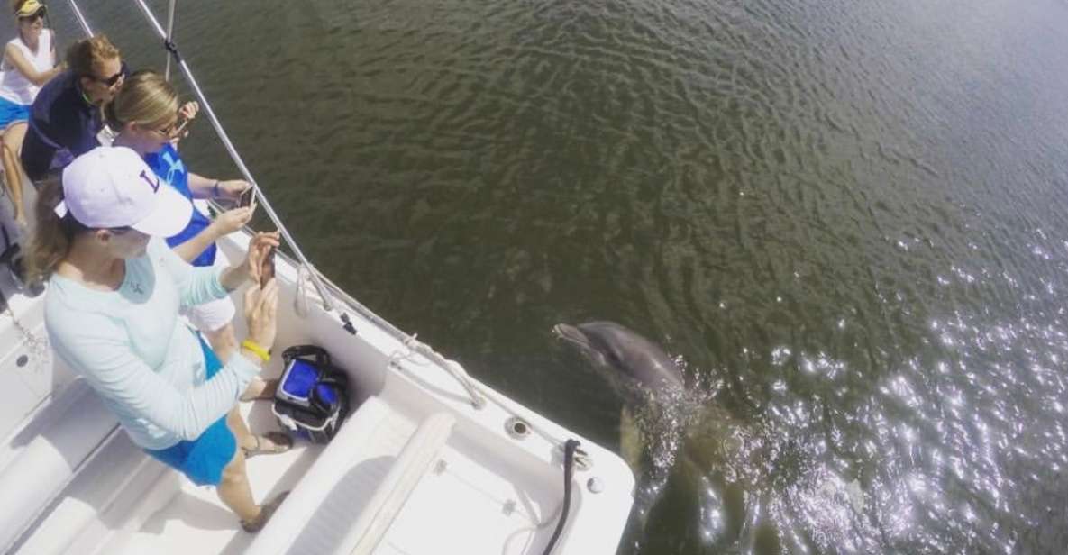 Hilton Head Island: Private Dolphin Watching Boat Tour - Frequently Asked Questions