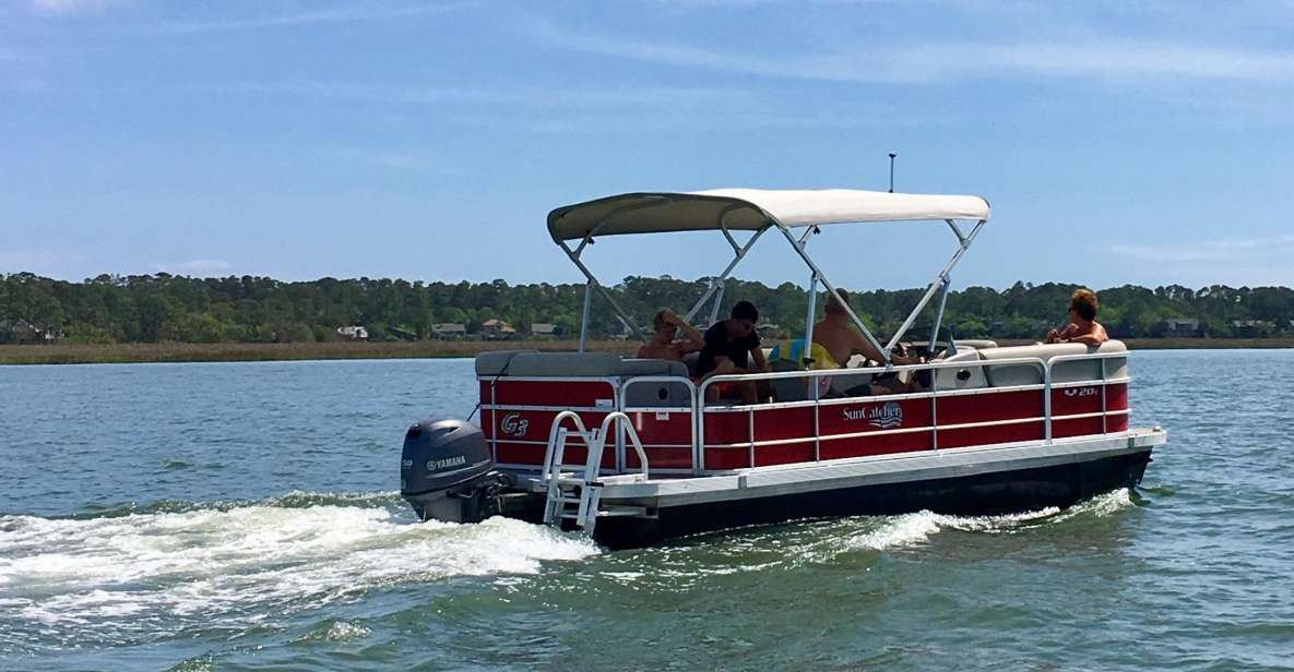 Hilton Head Island: Self-Drive Pontoon Boat Rental - Spotting Atlantic Bottlenose Dolphins