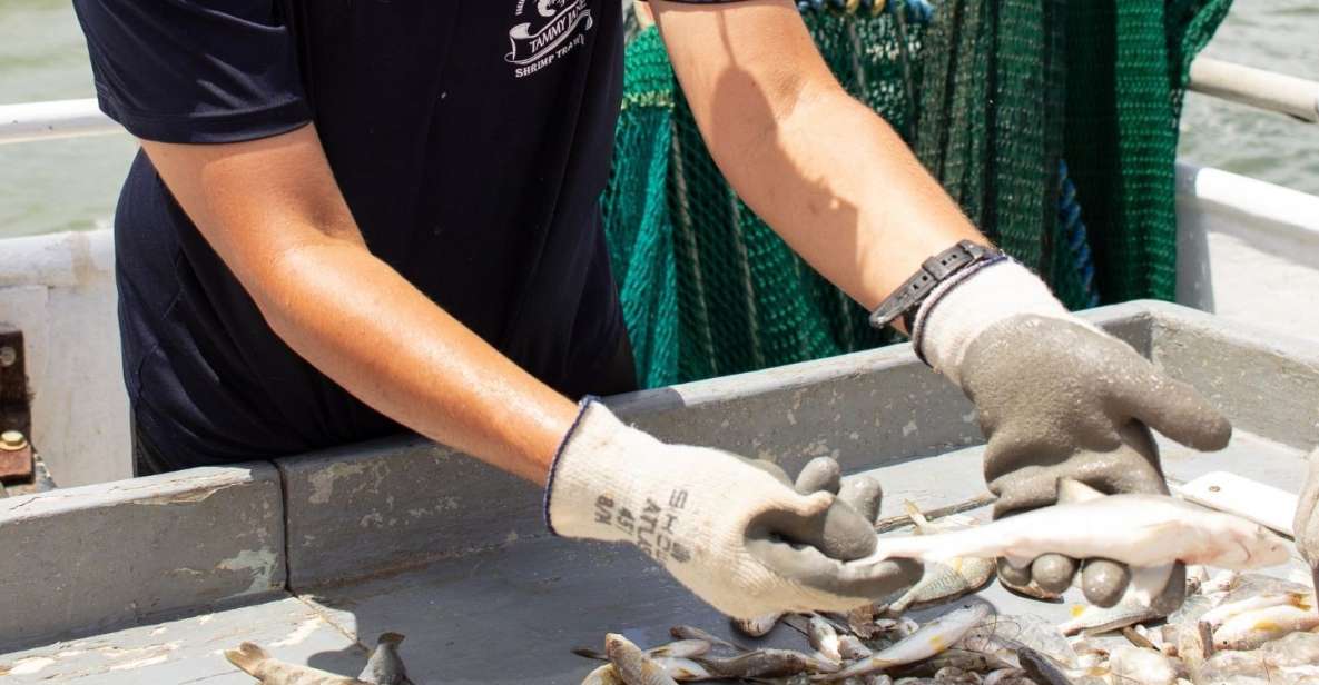 Hilton Head Island: Shrimp Trawling Boat Tour - Key Points
