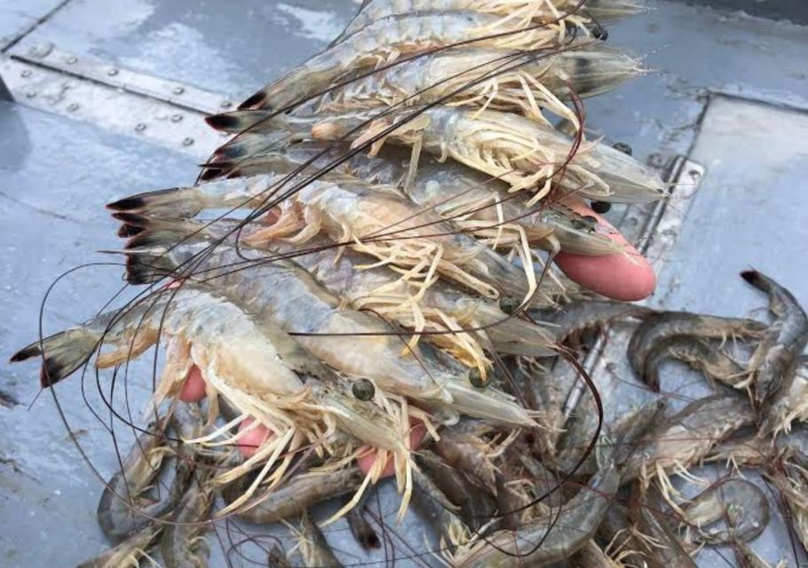 Hilton Head Island: Shrimp Trawling Boat Tour - Meeting Point and Arrival