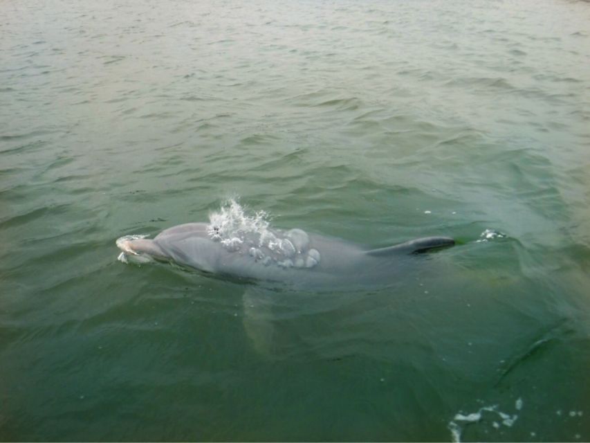 Hilton Head Island: Sunset Creek Cat Boat Tour - Cancellation and Payment