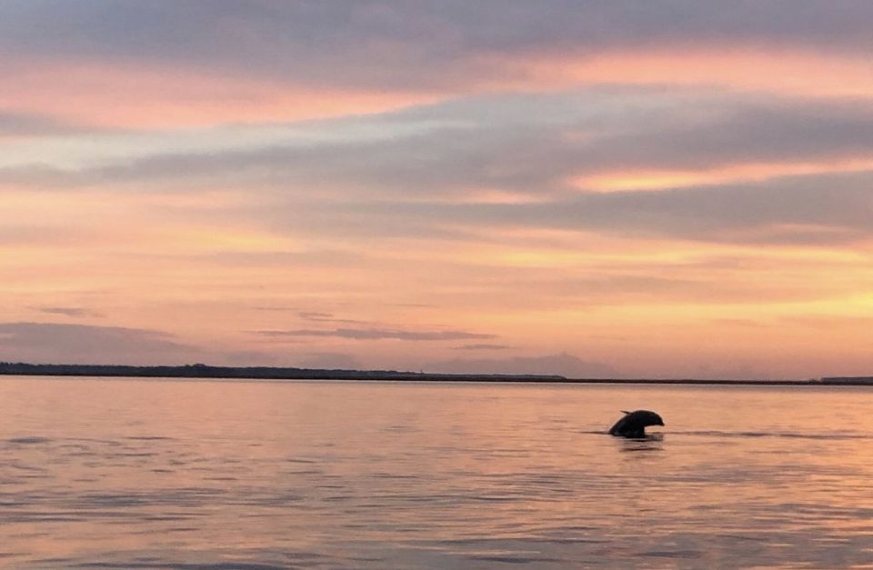 Hilton Head Island: Sunset Dolphin Watching Tour - Itinerary Overview