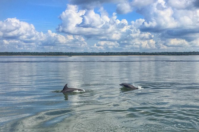 Hilton Head Morning Dolphins & Donuts Cruise - Accessibility Features